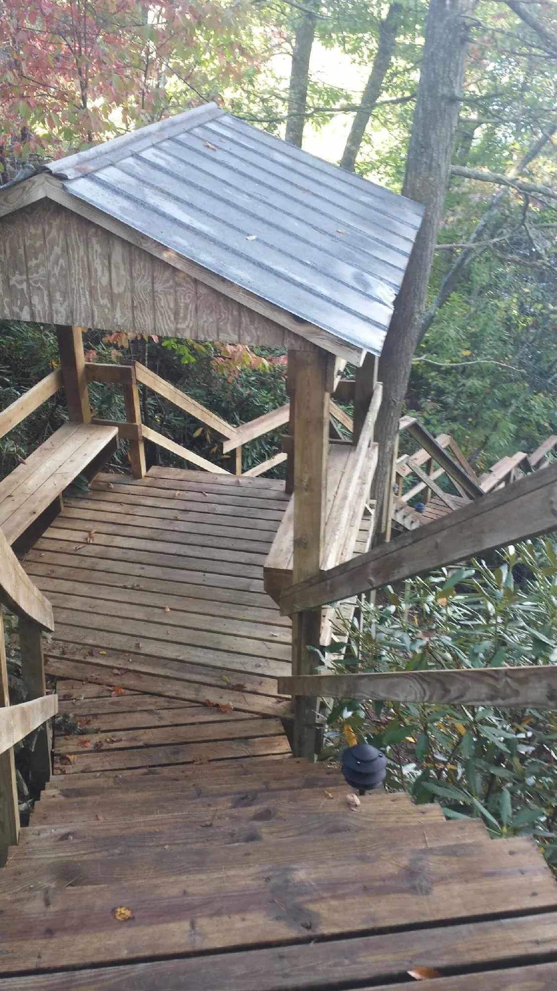 Metal roofed shelter over wooden steps on a wooded walkway — Skylight Repair & Installation work by our crew in Mineral Ridge