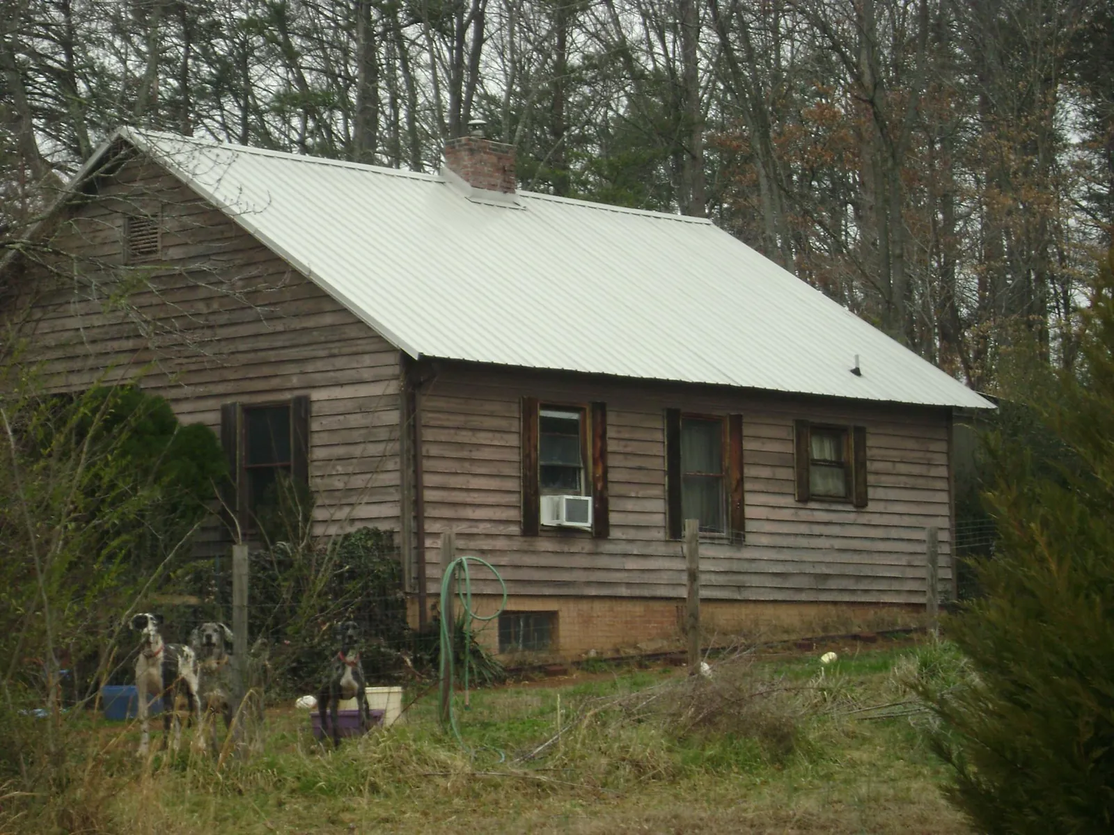 White metal roof on an old wood sided farmhouse, from a Asphalt Shingle Roof Repair job in Mineral Ridge
